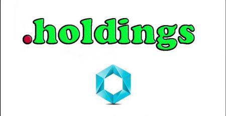 ثبت-دامنه-holdings