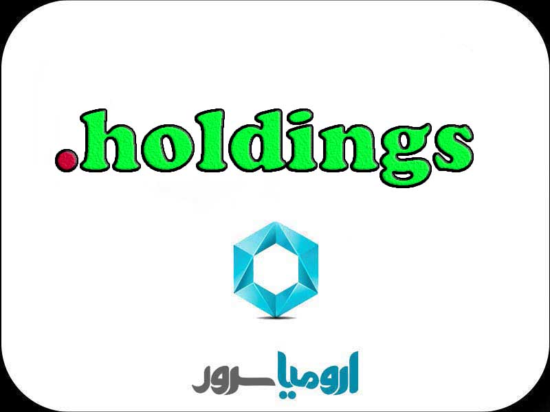 ثبت-دامنه-holdings